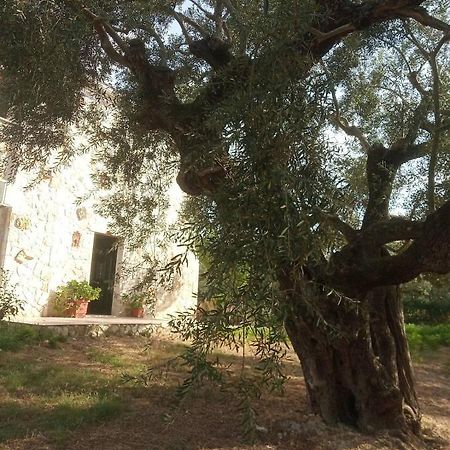 Olive Trees Villa Tragaki Bagian luar foto