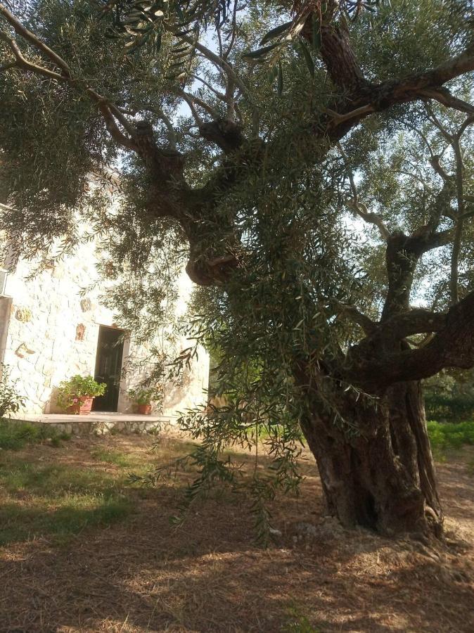 Olive Trees Villa Tragaki Bagian luar foto