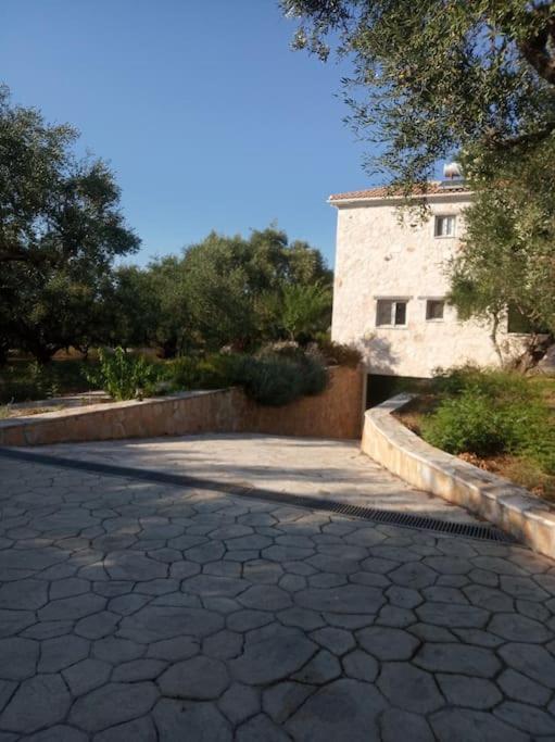 Olive Trees Villa Tragaki Bagian luar foto